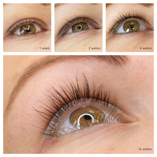 Lash lift brow